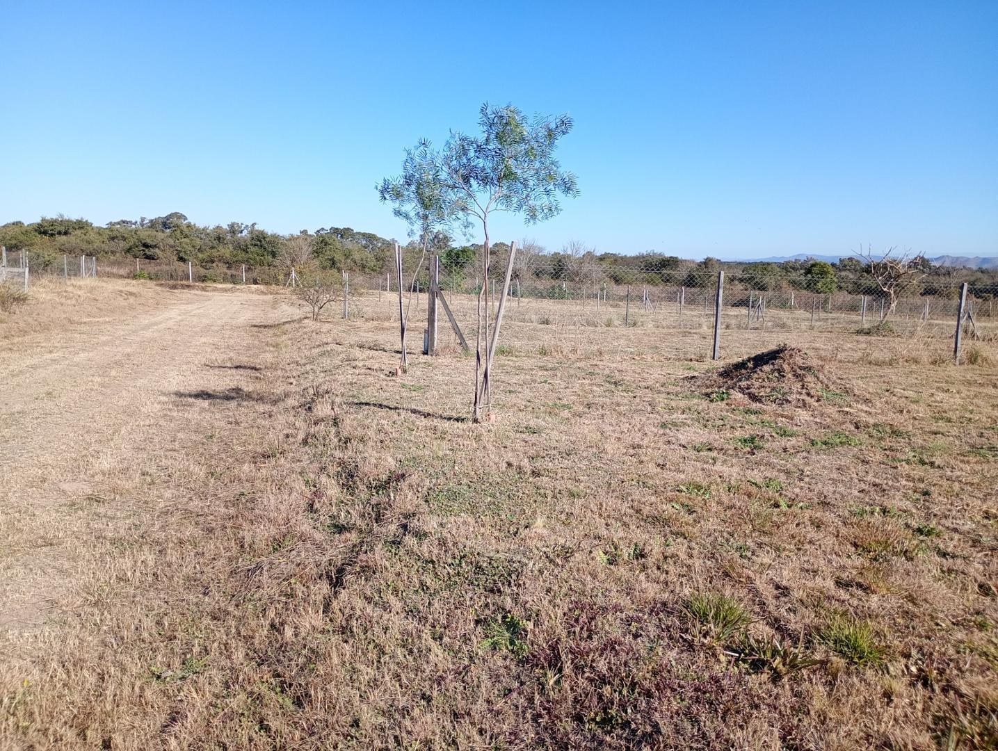 Foto de Lote en venta en B° Aires del Nordeste. Financiación, imagen 5
