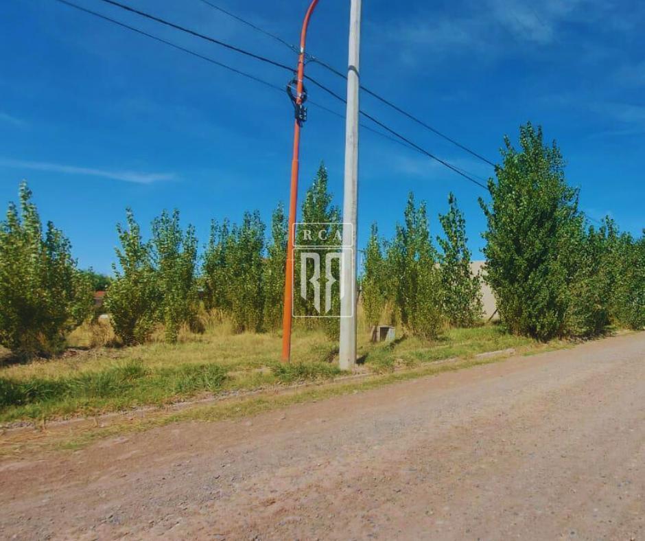 ¡Oportunidad! - Lote de 520 m² - en Barrio Don Higinio II - Fdez Oro 4