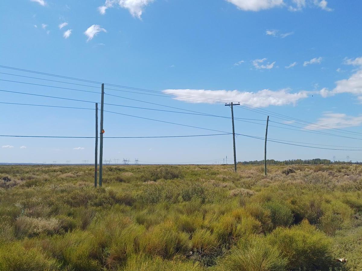 Venta Lote Apto a Industria (Con Frente de Ruta), Camino a Añelo. Oportunidad de Inversion 5