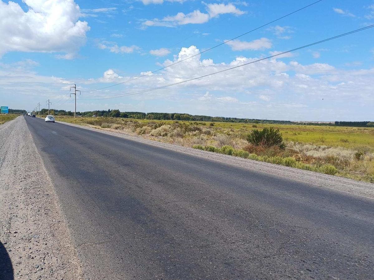 Venta Lote Apto a Industria (Con Frente de Ruta), Camino a Añelo. Oportunidad de Inversion 3