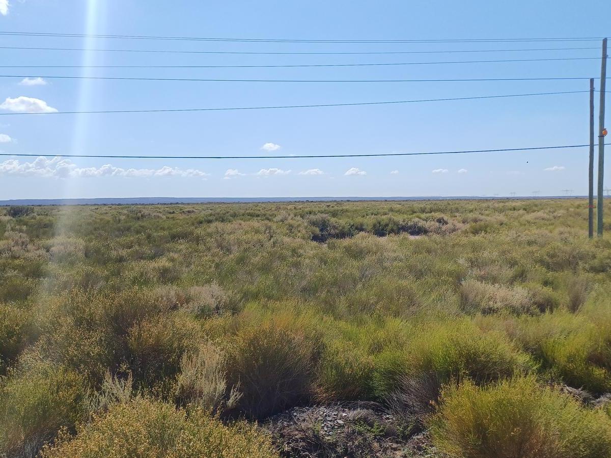 Venta Lote Apto a Industria (Con Frente de Ruta), Camino a Añelo. Oportunidad de Inversion 1