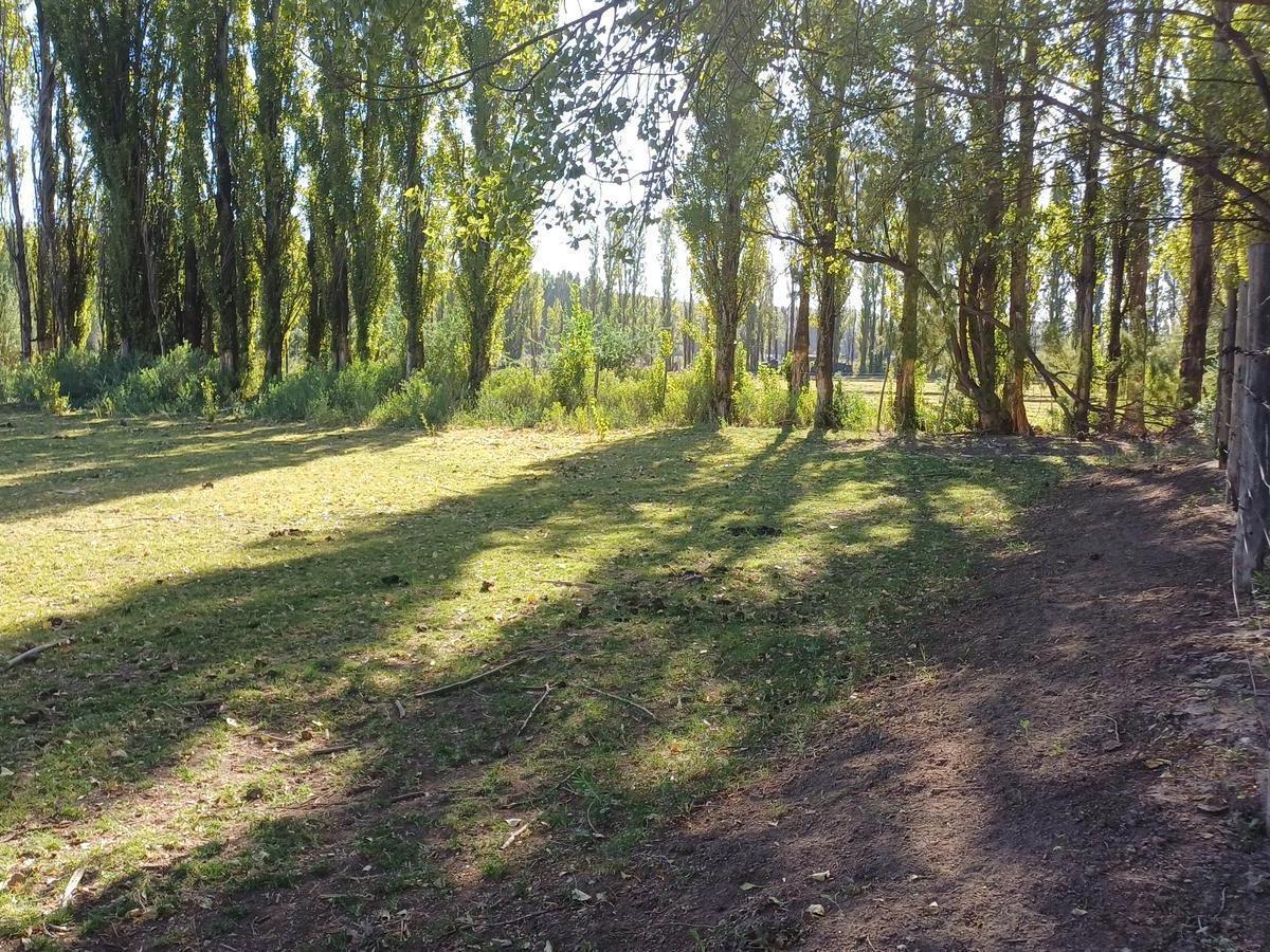 En Venta 4,2 Hectáreas - Añelo, Nqn - con Escritura 2