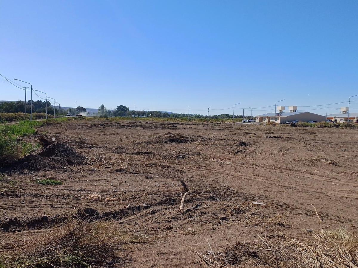 En Venta 4,2 Hectáreas - Añelo, Nqn - con Escritura 3