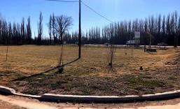 Foto de Terreno con todos los servicios y excelente ubicación - ciudad de, imagen 5