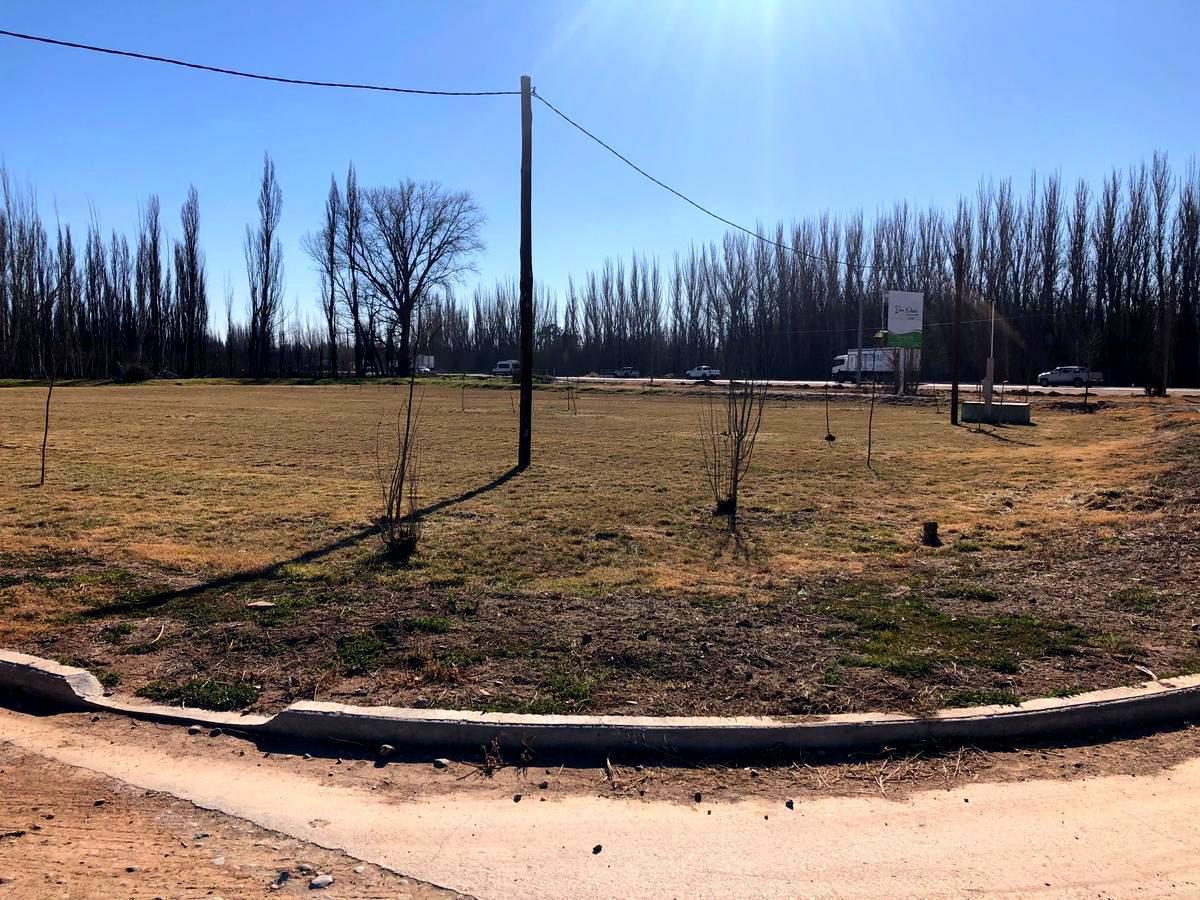Foto de Lote en venta en loteo Don Pater de la ciudad de Centenario, imagen 1