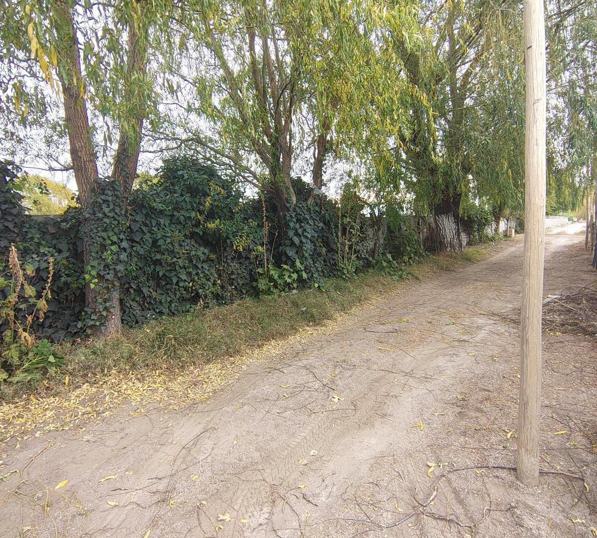 Foto de Terreno en VENTA en Barda del Medio (camino a Vaca Muerta), imagen 4