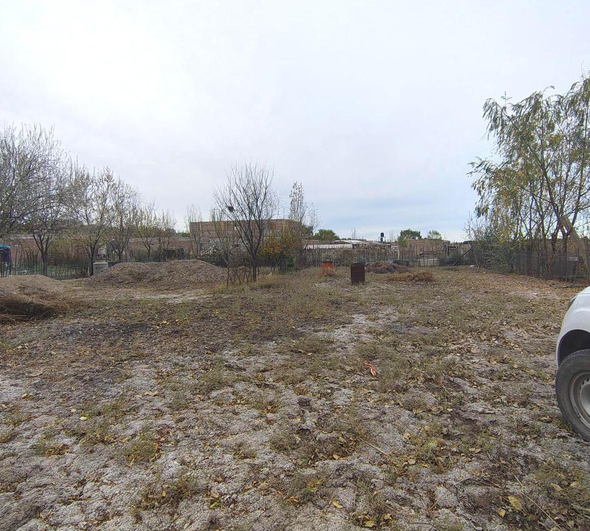 Foto de Terreno en VENTA en Barda del Medio (camino a Vaca Muerta), imagen 2