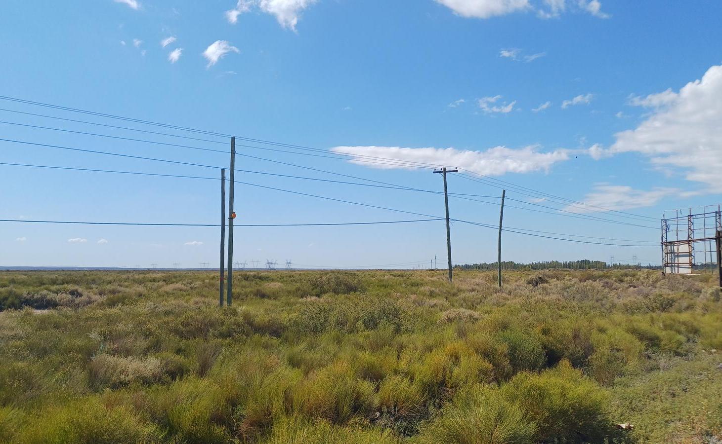 Foto de VENTA LOTE apto a Industria (con frente de ruta), camino a Añelo, imagen 4