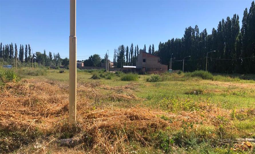 Foto de Terreno LISTO PARA CONSTRUIR - en la ciudad de Centenario - NEUQUÉN, imagen 3