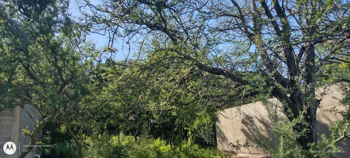 TERRENO EN VENTA EN COSQUÍN, VISTA A LAS SIERRAS, BARRIO SAN JOSÉ OBRERO. TE53 4