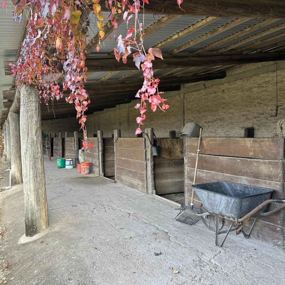 Foto de Venta Campo con Caballerizas | VCO Propiedades, imagen 4