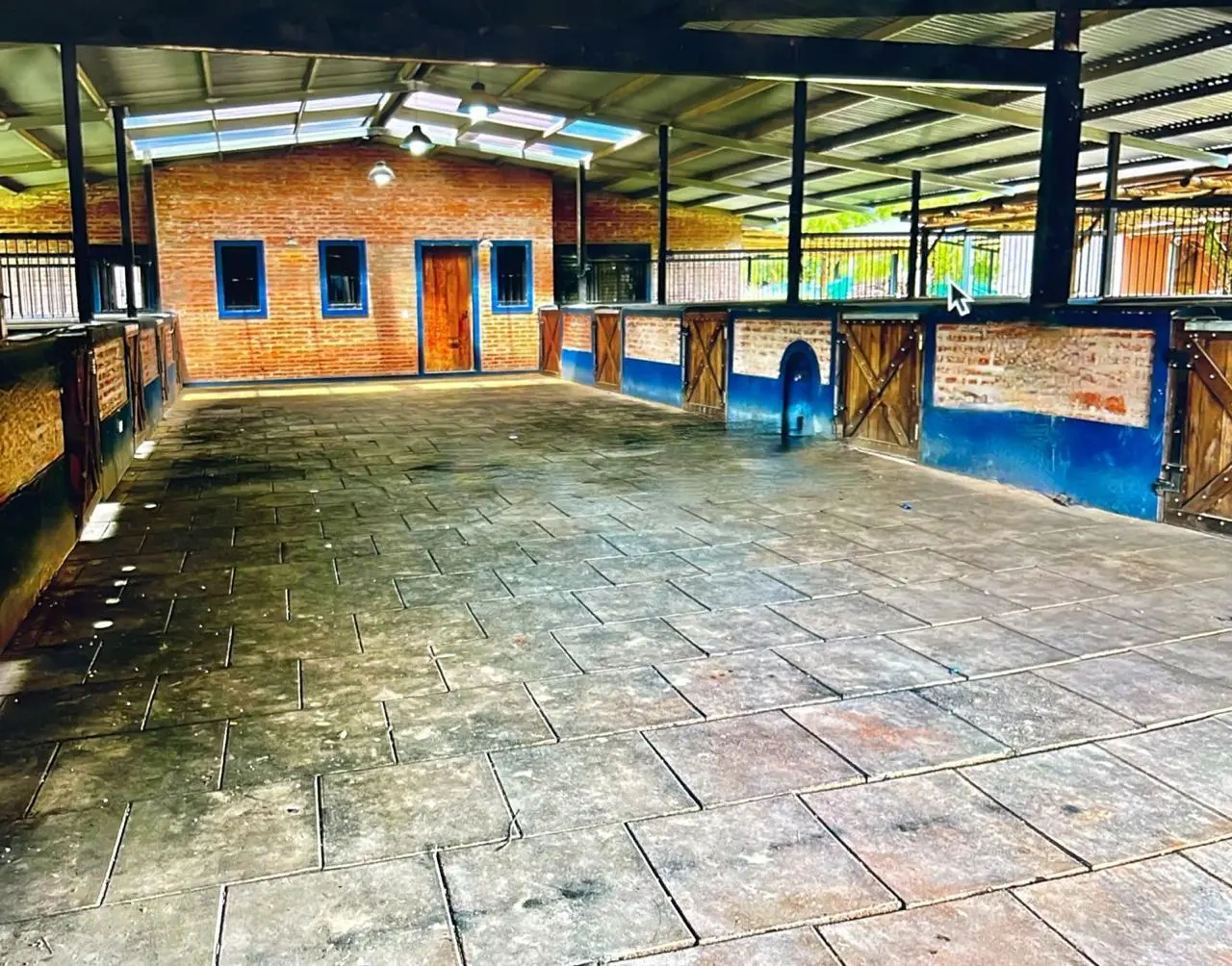 Alquiler | Caballerizas en San Jorge Chico | VCO Propiedades 3