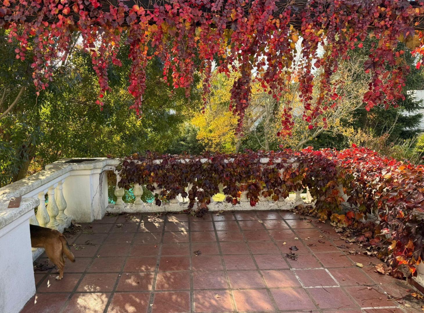Foto de Casa en venta en Mayling Club de Campo I VCO Propiedades, imagen 4