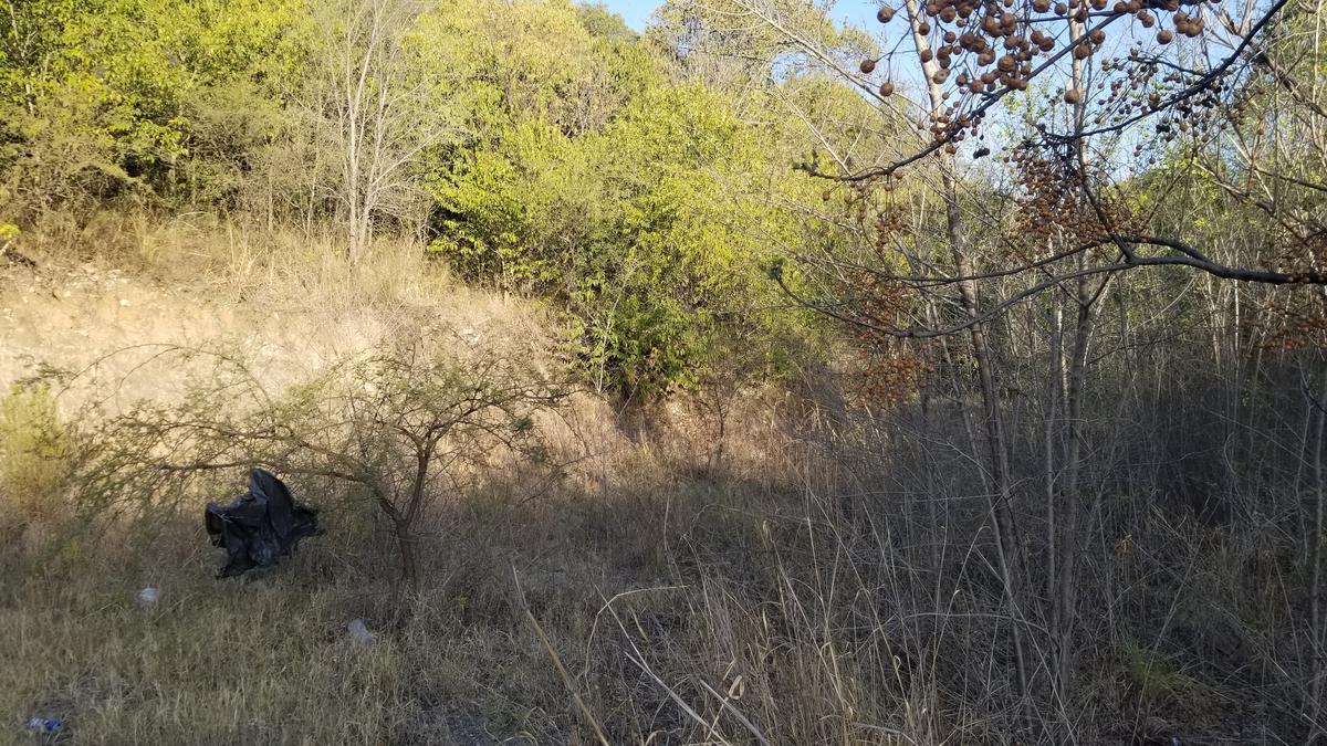 Fracción 2 Ha 3000 m² Sobre Ruta E - 53 5