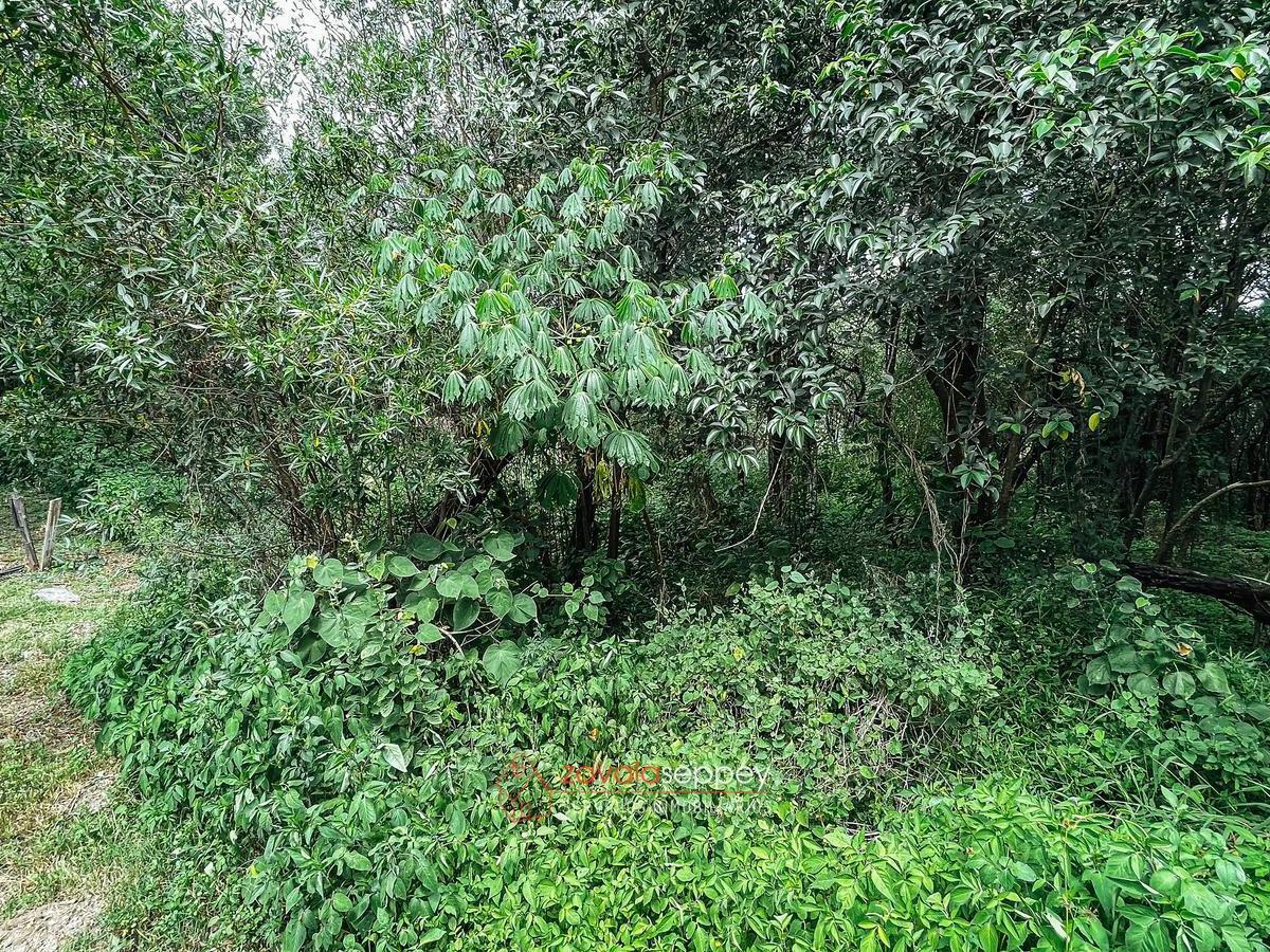 Terreno en Venta en Estancia San Miguel - 1320 m² - Posibilidad de Financiar 4