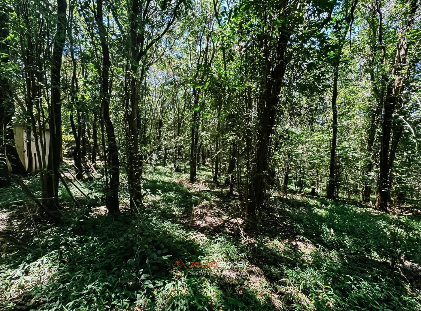 Foto de Terreno en Salsipuedes - 3150m2 - Excelente oportunidad, imagen 4