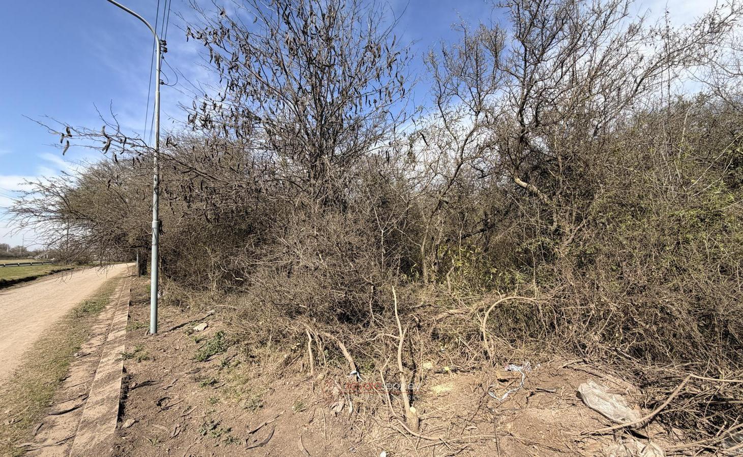 Foto de Lotes en Venta sobre Ruta E-53 | 500 m² | Totalmente Planos | Lomas del, imagen 5
