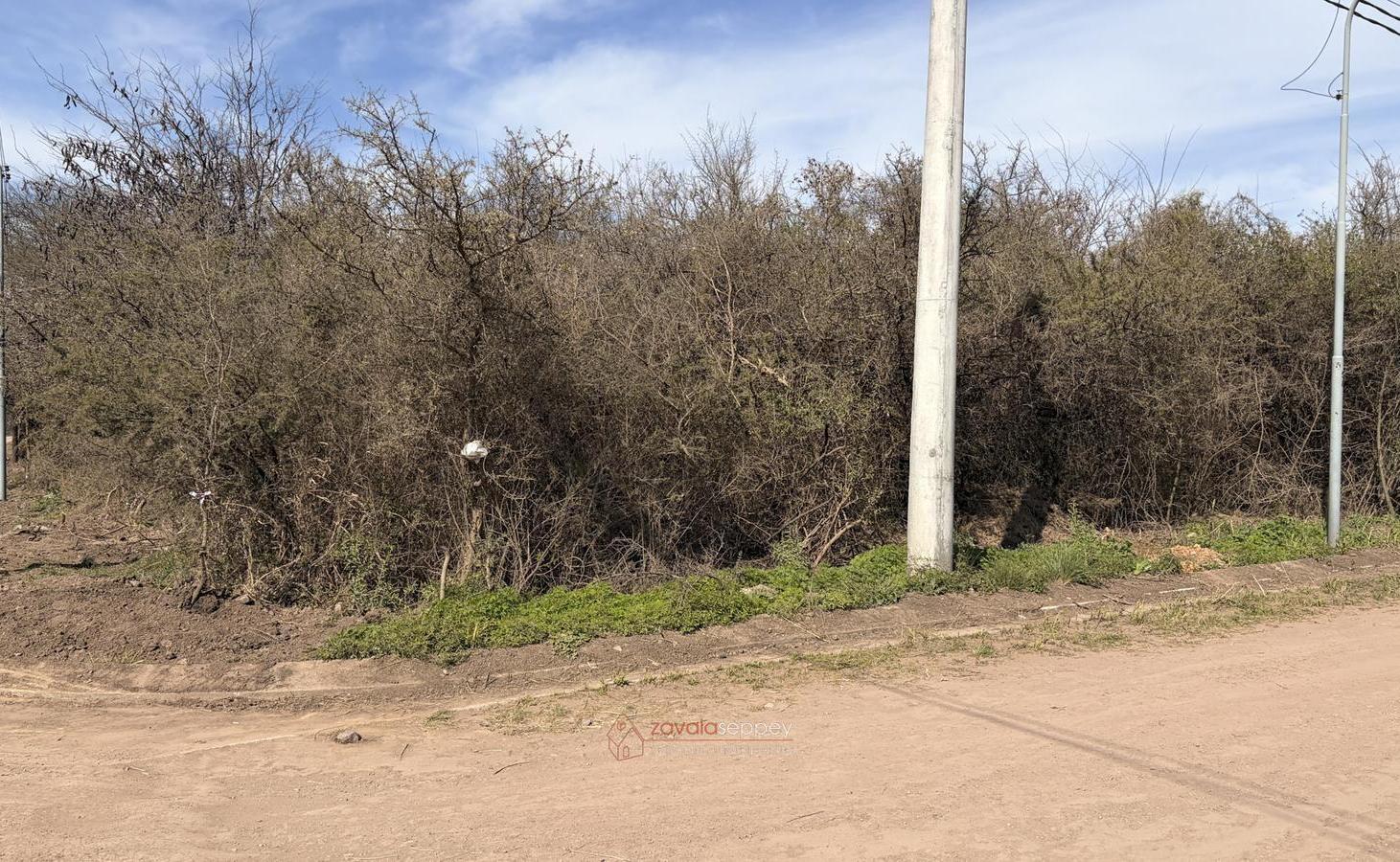Foto de Lotes en Venta sobre Ruta E-53 | 500 m² | Totalmente Planos | Lomas del, imagen 3
