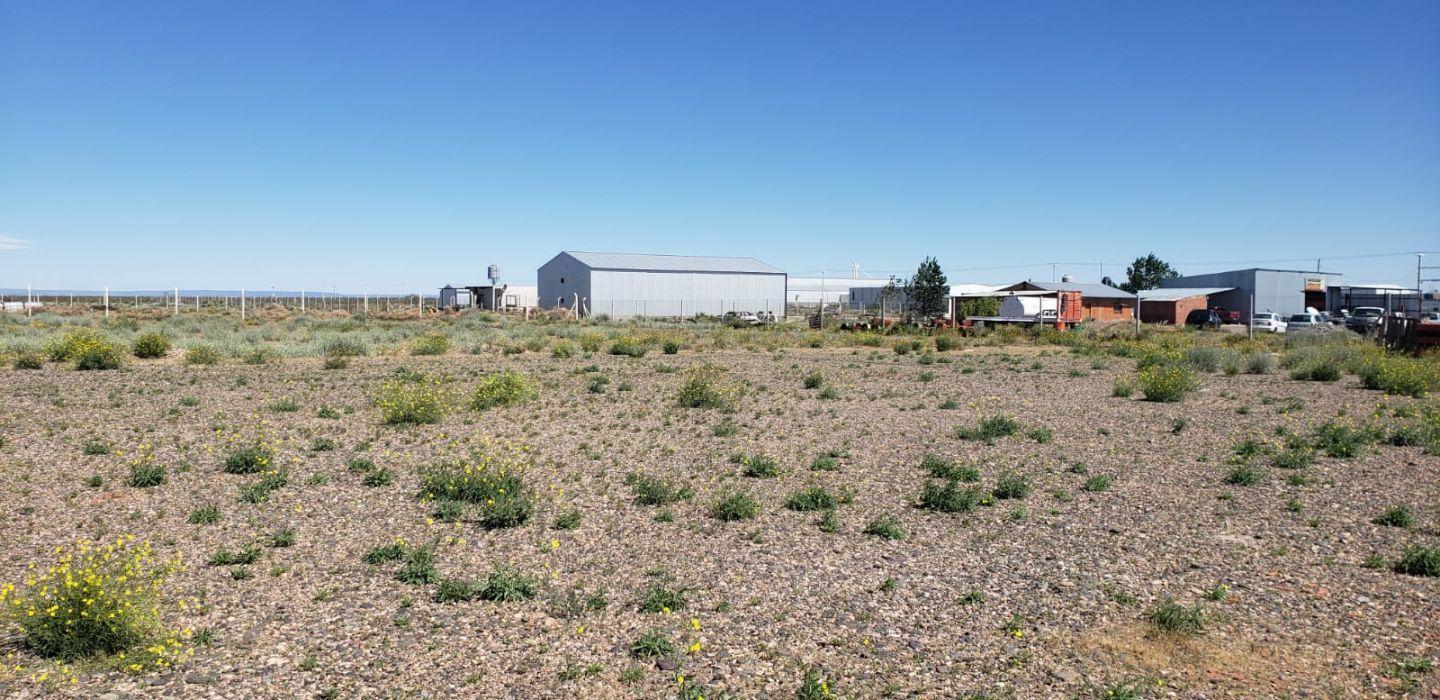Alquilo Galpón añelo 80m2 c/predio 10000m2