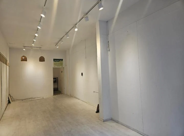Alquiler - LOCAL - Palermo 3
