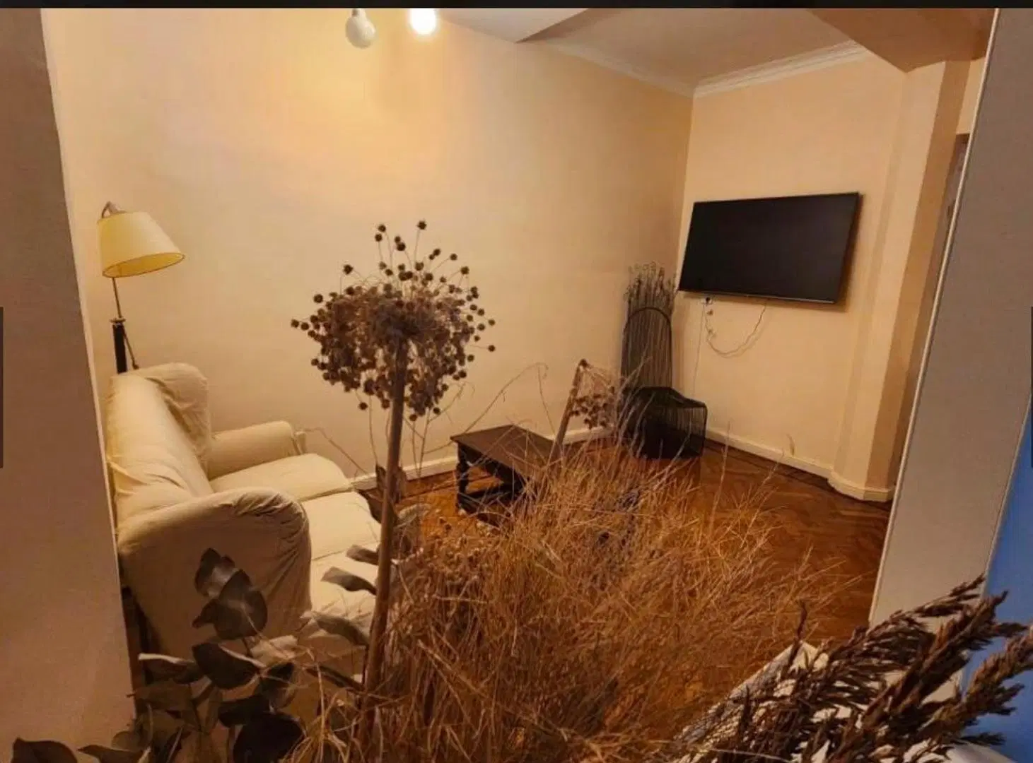 Departamento en alquiler -3 ambientes-Barrio parque 2