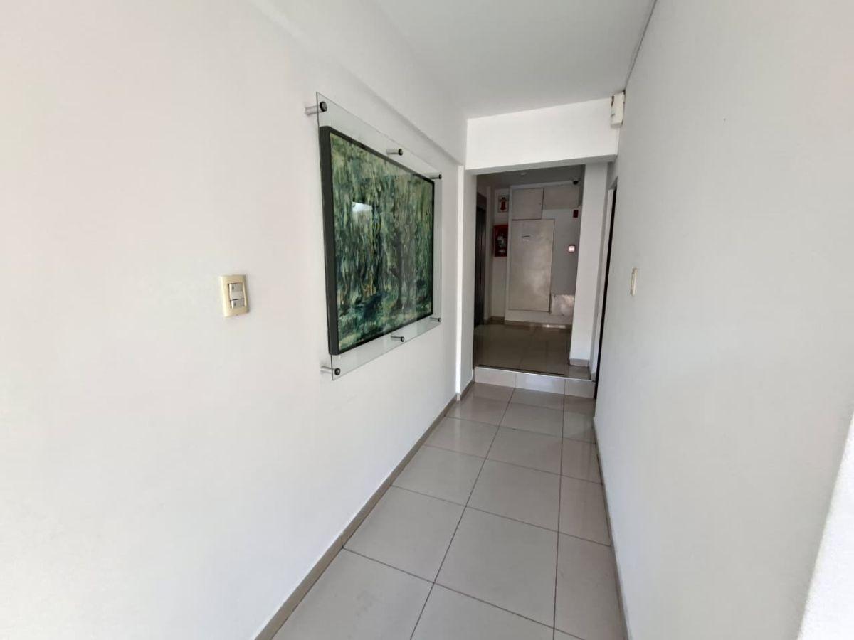 Foto de ALQUILO 1 DORMITORIO ,GRAN LIVIN COMEDOR c/PATIO: NO MASCOTA - Externo, imagen 3