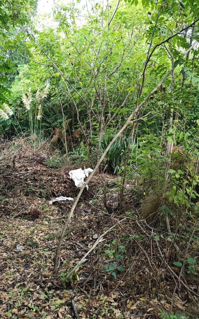 Foto de Venta de terreno en Salsipuedes, imagen 3