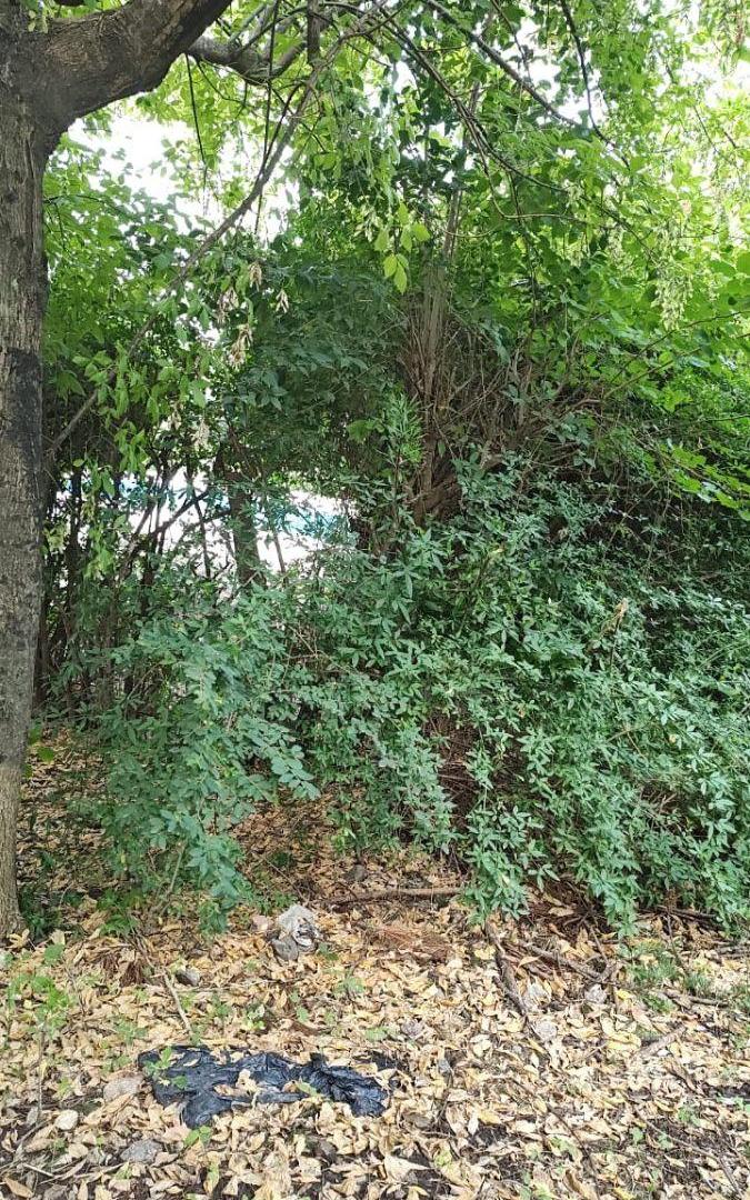 Foto de Venta de terreno en Salsipuedes, imagen 4