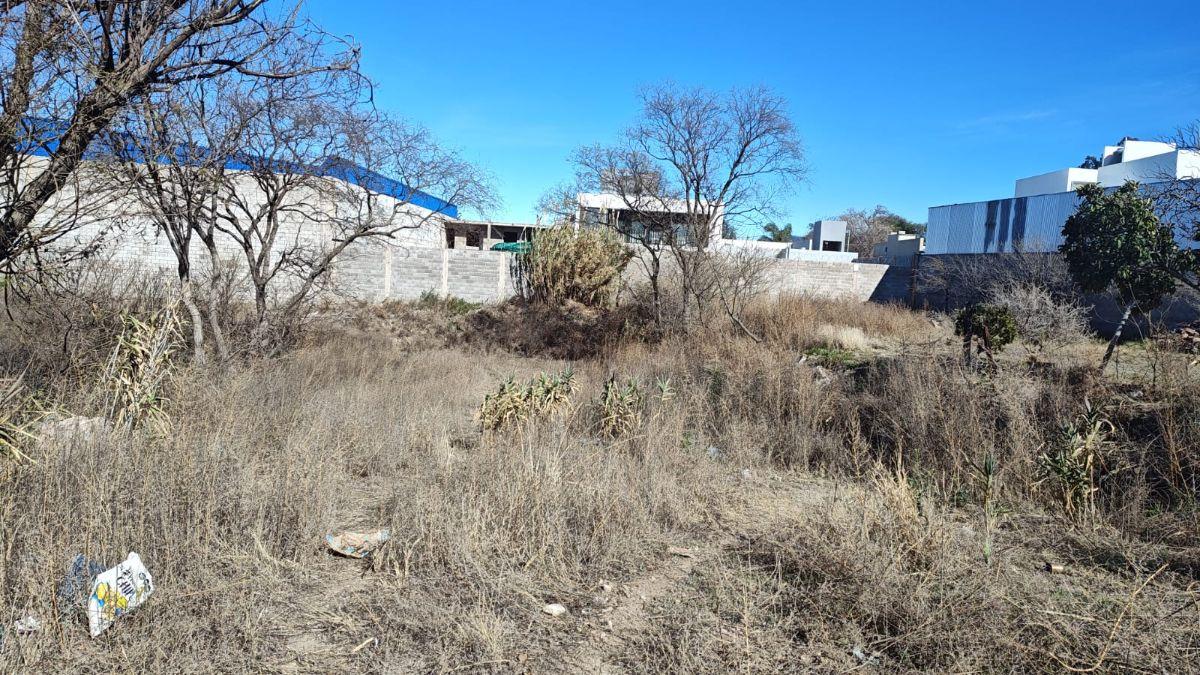 Foto de Vendo lote de terreno San Luis. Capital. Centro, imagen 1