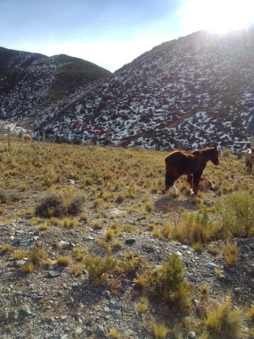 Lote con Proy. Cabañas Aprob. Piedras Blancas, Potrerillos 2