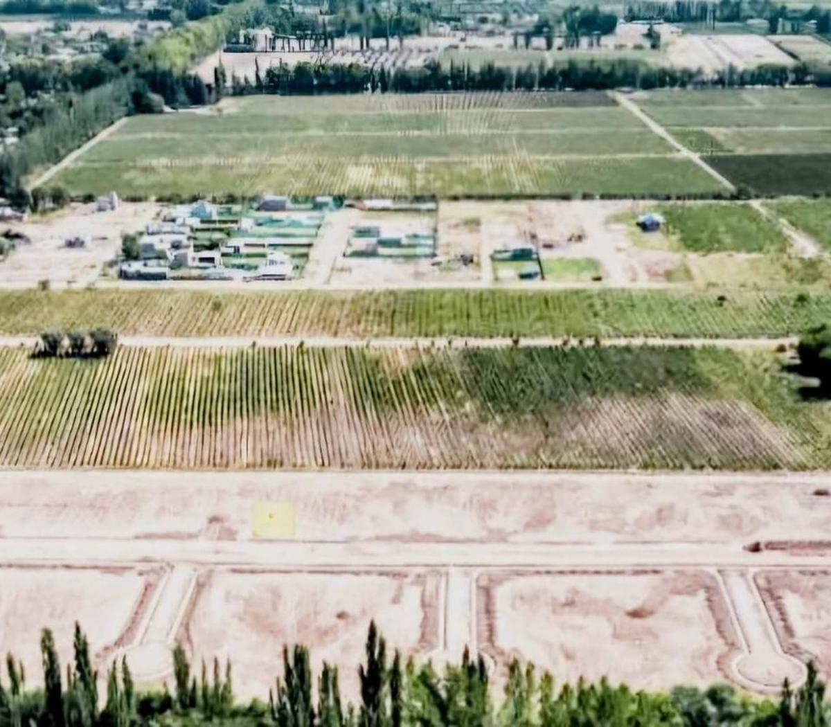Lote en Venta Perdriel, Lujan de Cuyo. 1