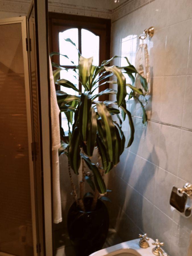 Casa en Venta en Bernal Este, Bernal, Quilmes 5