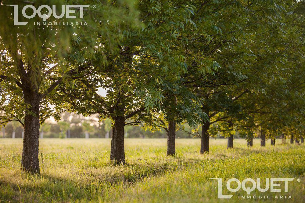 Foto de Lotes en venta en Estancia San José - 900m2, imagen 3