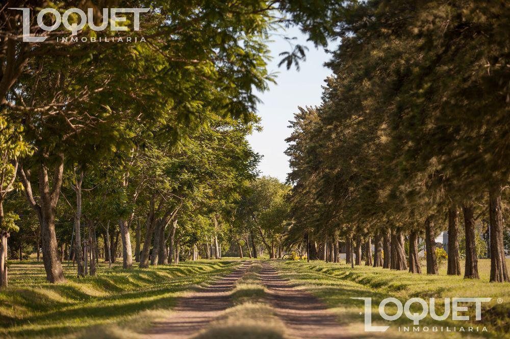 Foto de Lotes en Estancia San José - Financiado hasta en 24 cuotas, imagen 1