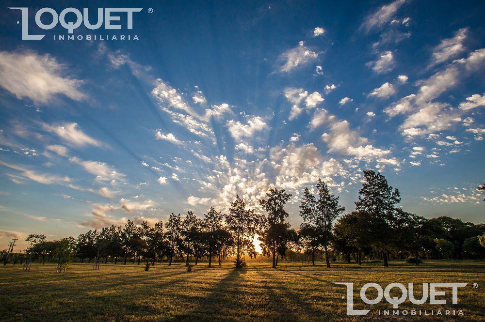 Foto de Lotes en Estancia San José - Financiado hasta en 24 cuotas, imagen 2