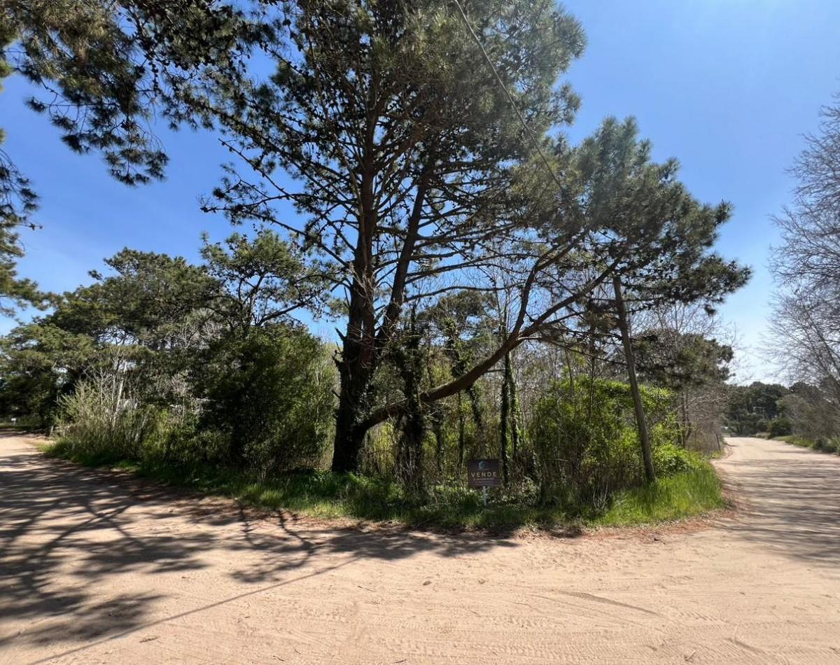 Lote en Las Gaviotas. 2