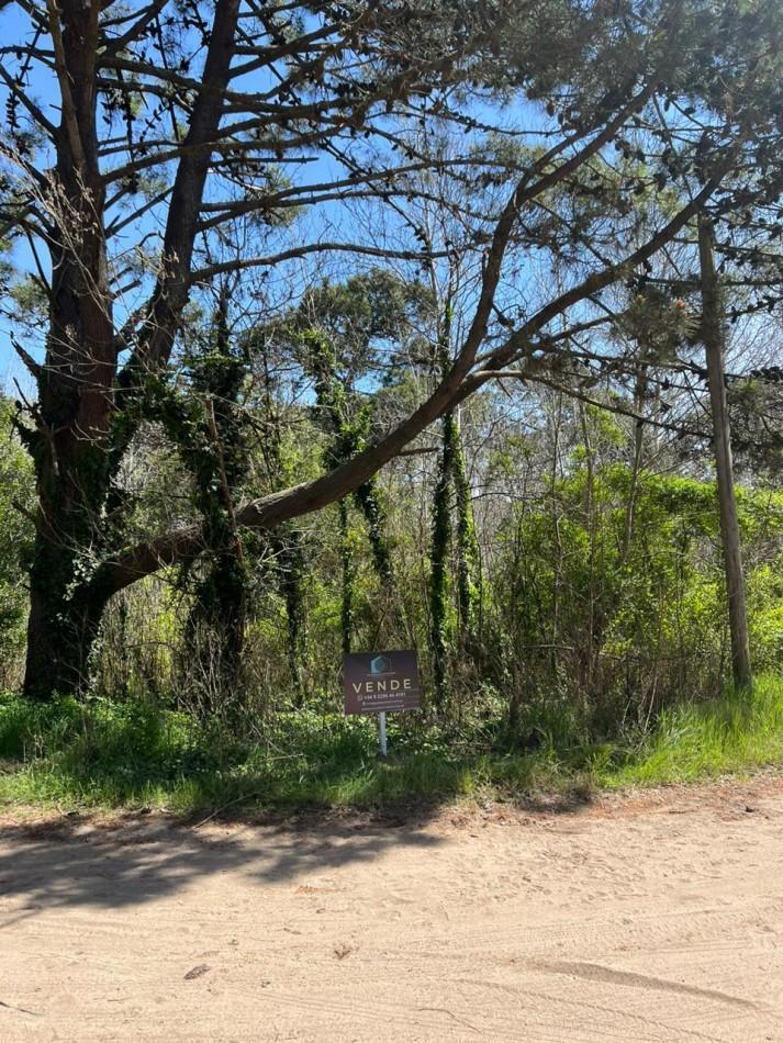 Terreno en Venta - Excelente Ubicacion en Las Gaviotas 2