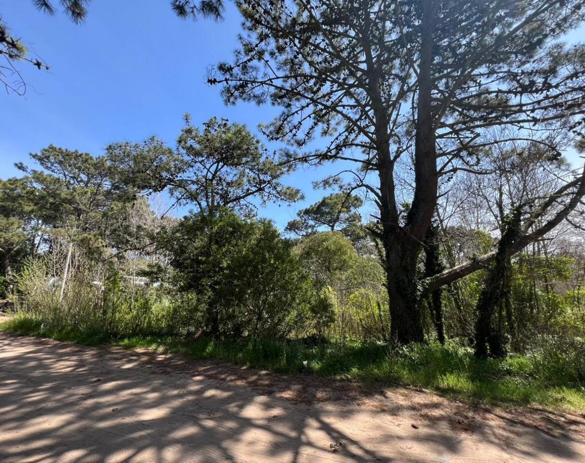 Terreno en Venta - Excelente Ubicacion en Las Gaviotas 3