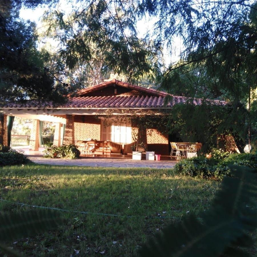 Finca 53 Ha Mendoza. Carrizal del Medio 3