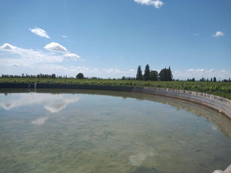 Finca de 30 Has en Venta en Ugarteche 3