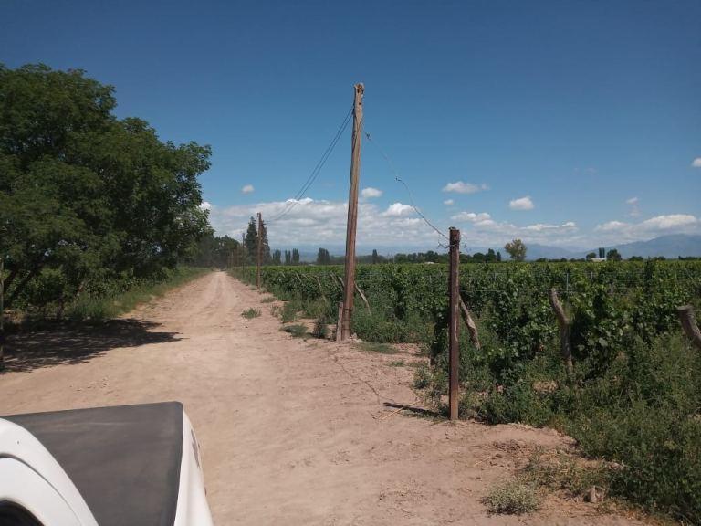 Finca de 30 Has en Venta en Ugarteche 1