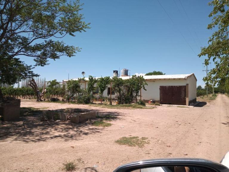 Finca de 30 Has en Venta en Ugarteche 4