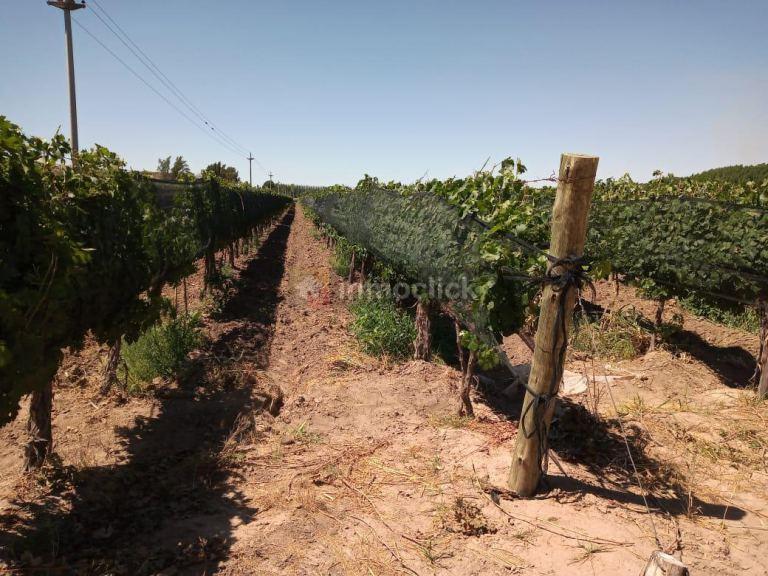Finca en Venta en El Carrizal del Medio 5
