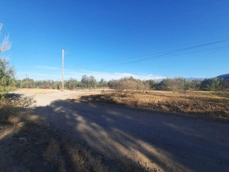 Terreno de 5.5 Has en Venta con Frente a Calle Terrada, Maipú 1