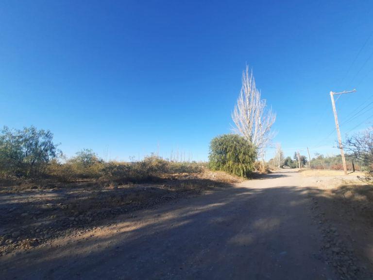 Terreno de 5.5 Has en Venta con Frente a Calle Terrada, Maipú 3