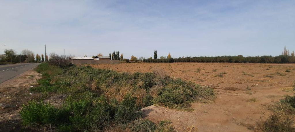 Terreno de 6280 m² a La Venta en Ruta 60 4