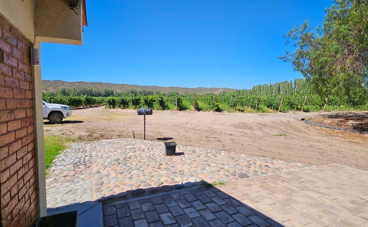 Finca de 20 Has de Malbec en Venta en Perdriel 2