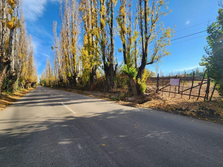 Finca de Dos Hectáreas en Venta en Vistalba 1