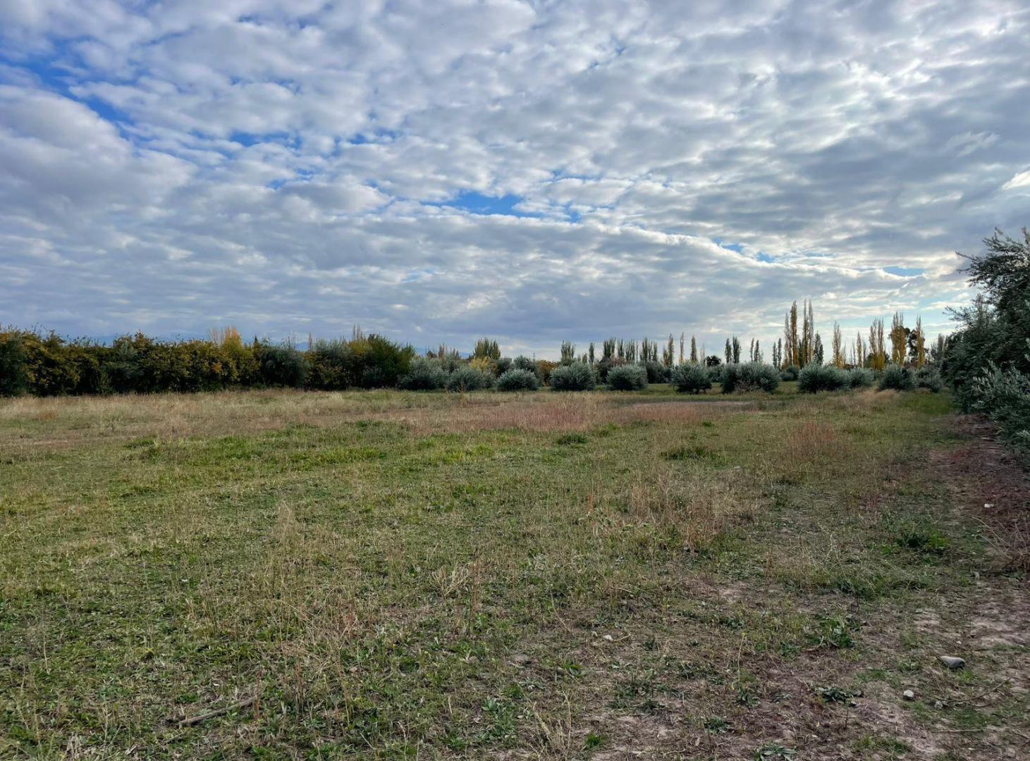 Finca de 3,2 has en venta