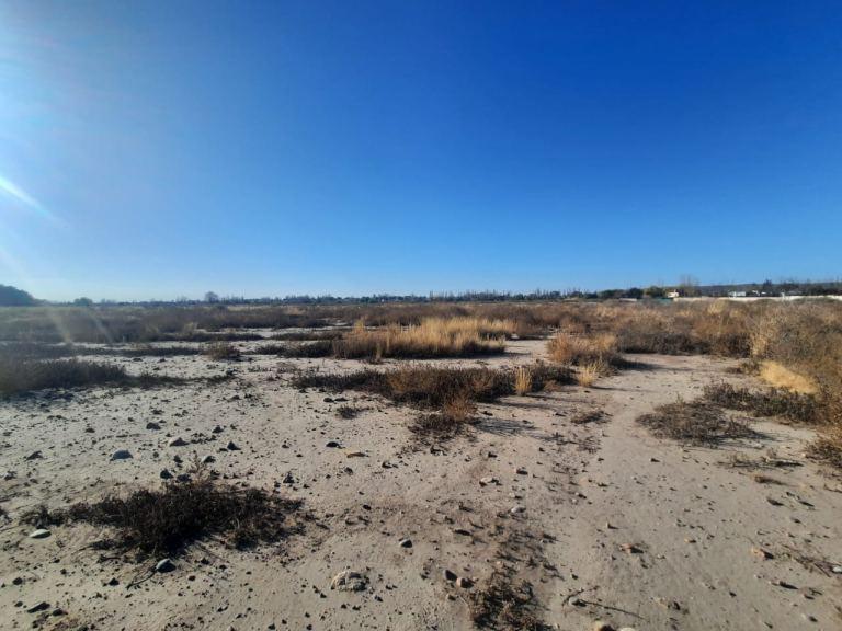 Finca de 5.5 has en venta con frente a calle Terrada, Maipú